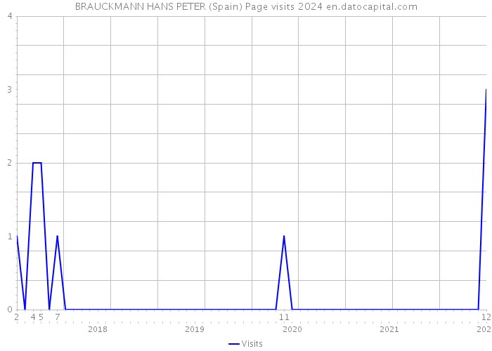 BRAUCKMANN HANS PETER (Spain) Page visits 2024 