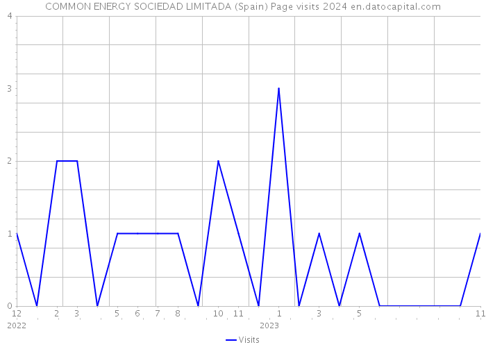COMMON ENERGY SOCIEDAD LIMITADA (Spain) Page visits 2024 
