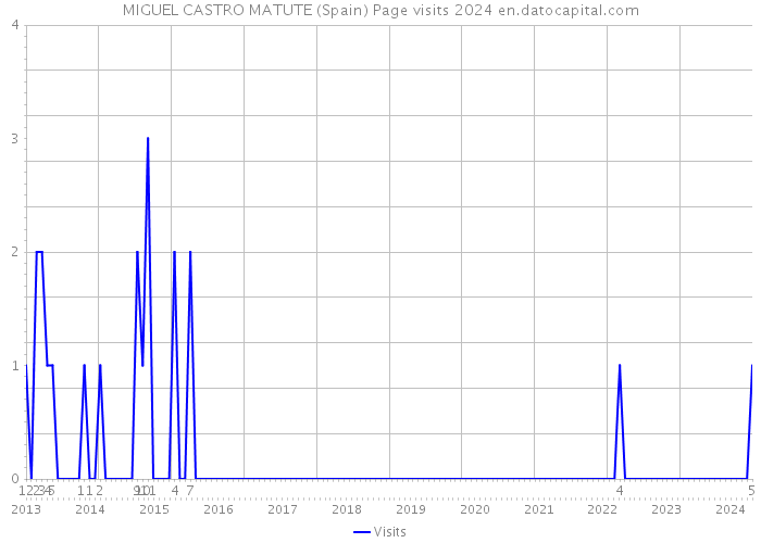 MIGUEL CASTRO MATUTE (Spain) Page visits 2024 