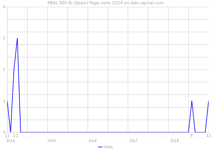 REAL SIDI SL (Spain) Page visits 2024 