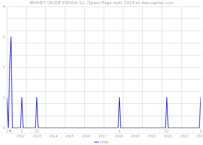 BRANDT GROUP ESPANA S.L. (Spain) Page visits 2024 