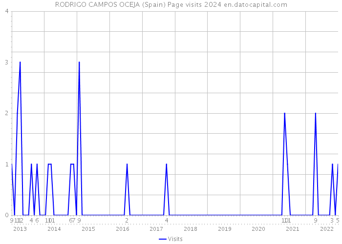 RODRIGO CAMPOS OCEJA (Spain) Page visits 2024 