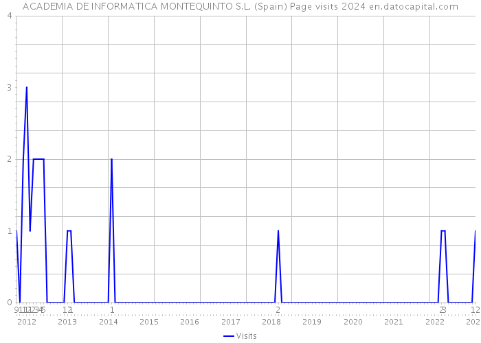 ACADEMIA DE INFORMATICA MONTEQUINTO S.L. (Spain) Page visits 2024 