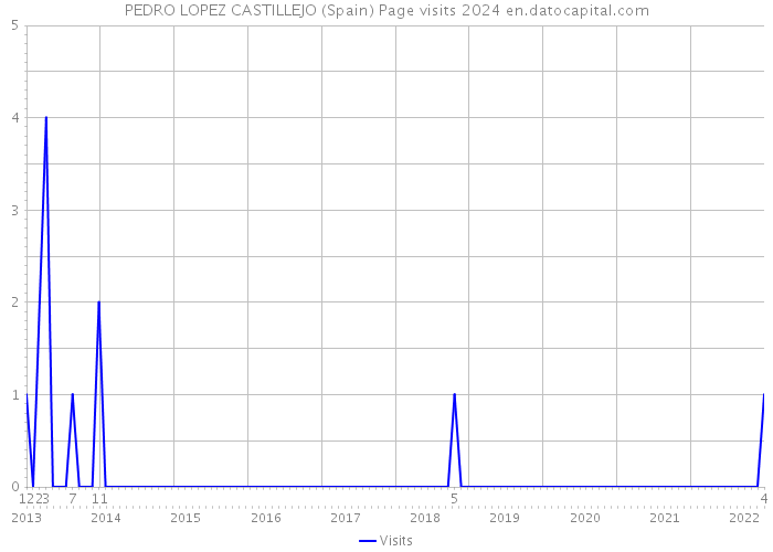 PEDRO LOPEZ CASTILLEJO (Spain) Page visits 2024 