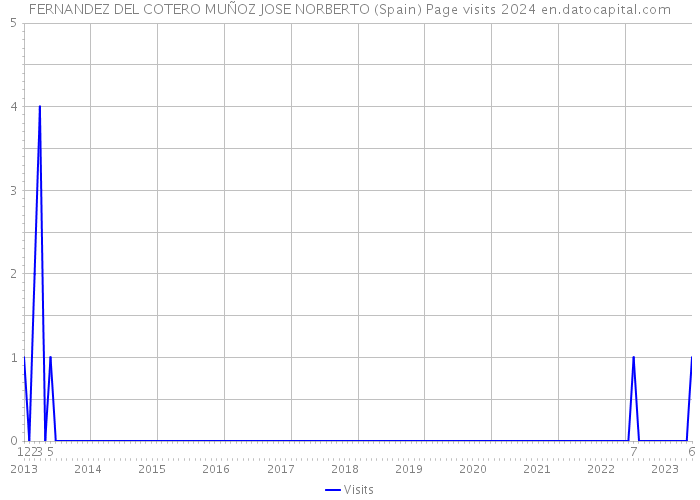 FERNANDEZ DEL COTERO MUÑOZ JOSE NORBERTO (Spain) Page visits 2024 