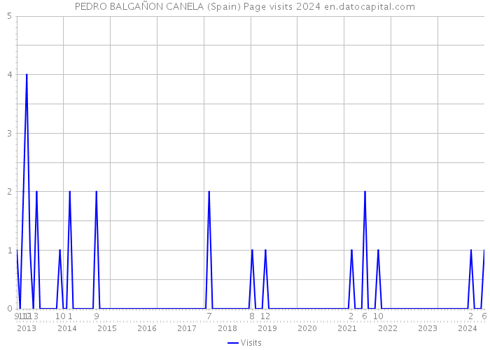 PEDRO BALGAÑON CANELA (Spain) Page visits 2024 