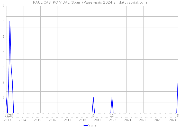 RAUL CASTRO VIDAL (Spain) Page visits 2024 