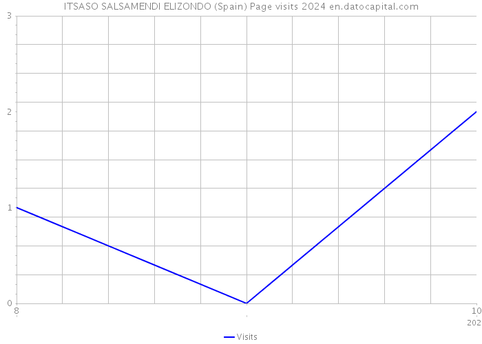 ITSASO SALSAMENDI ELIZONDO (Spain) Page visits 2024 