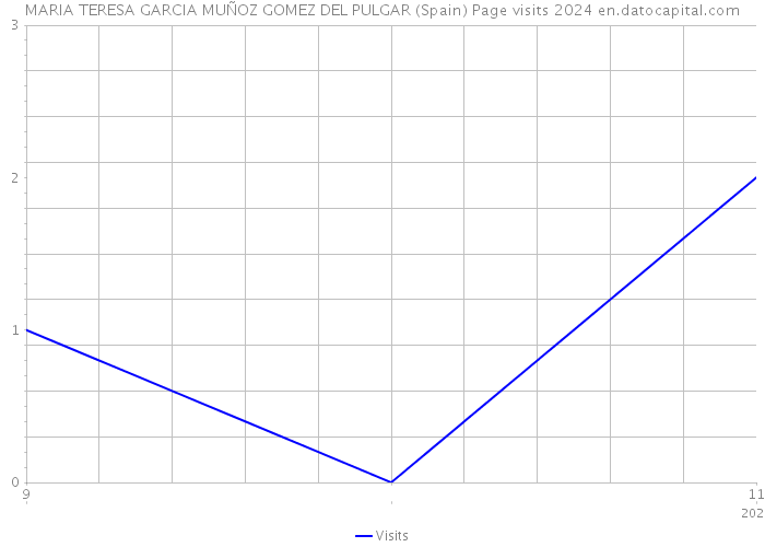 MARIA TERESA GARCIA MUÑOZ GOMEZ DEL PULGAR (Spain) Page visits 2024 