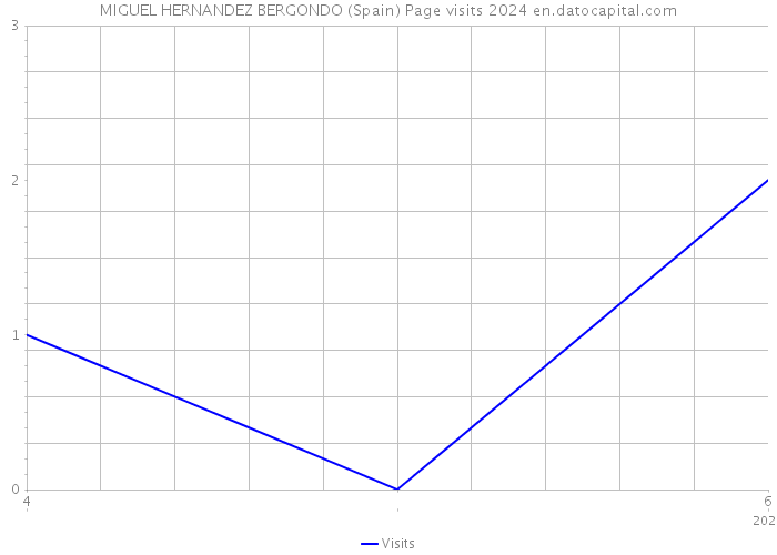 MIGUEL HERNANDEZ BERGONDO (Spain) Page visits 2024 