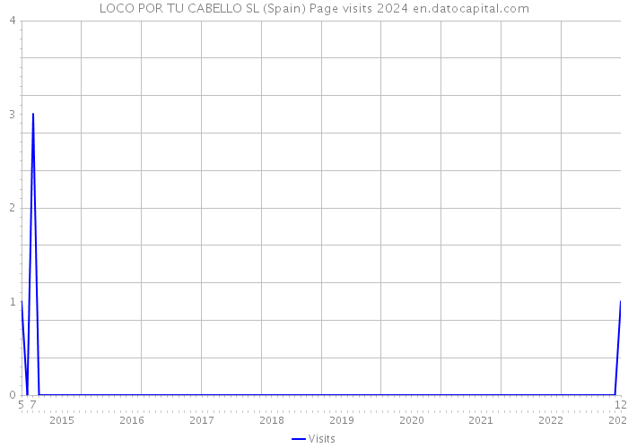 LOCO POR TU CABELLO SL (Spain) Page visits 2024 
