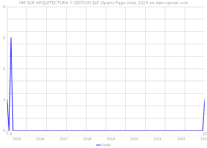 NM SUR ARQUITECTURA Y GESTION SLP (Spain) Page visits 2024 