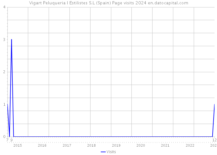 Vigart Peluqueria I Estilistes S.L (Spain) Page visits 2024 