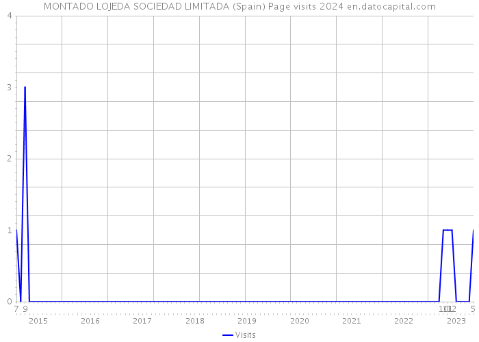 MONTADO LOJEDA SOCIEDAD LIMITADA (Spain) Page visits 2024 