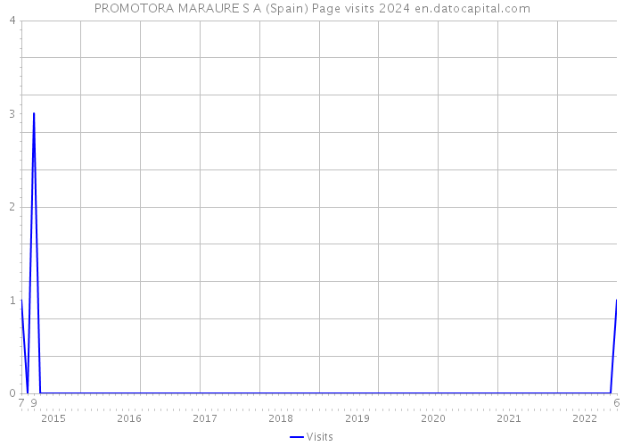 PROMOTORA MARAURE S A (Spain) Page visits 2024 