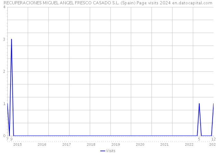 RECUPERACIONES MIGUEL ANGEL FRESCO CASADO S.L. (Spain) Page visits 2024 