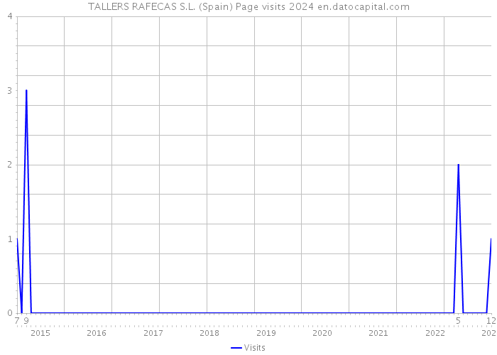 TALLERS RAFECAS S.L. (Spain) Page visits 2024 