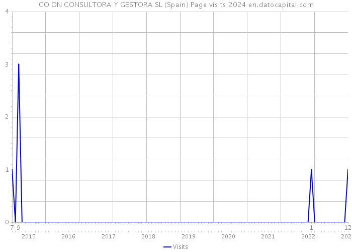 GO ON CONSULTORA Y GESTORA SL (Spain) Page visits 2024 