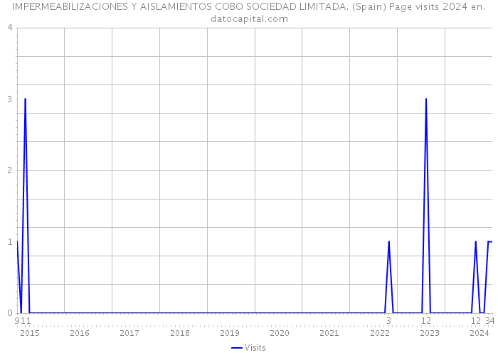 IMPERMEABILIZACIONES Y AISLAMIENTOS COBO SOCIEDAD LIMITADA. (Spain) Page visits 2024 