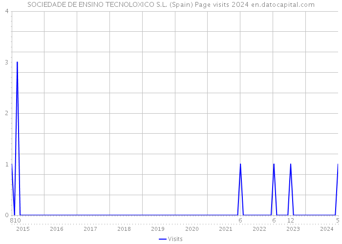 SOCIEDADE DE ENSINO TECNOLOXICO S.L. (Spain) Page visits 2024 