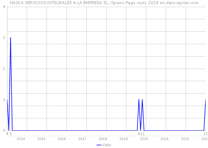NASKA SERVICIOS INTEGRALES A LA EMPRESA SL. (Spain) Page visits 2024 