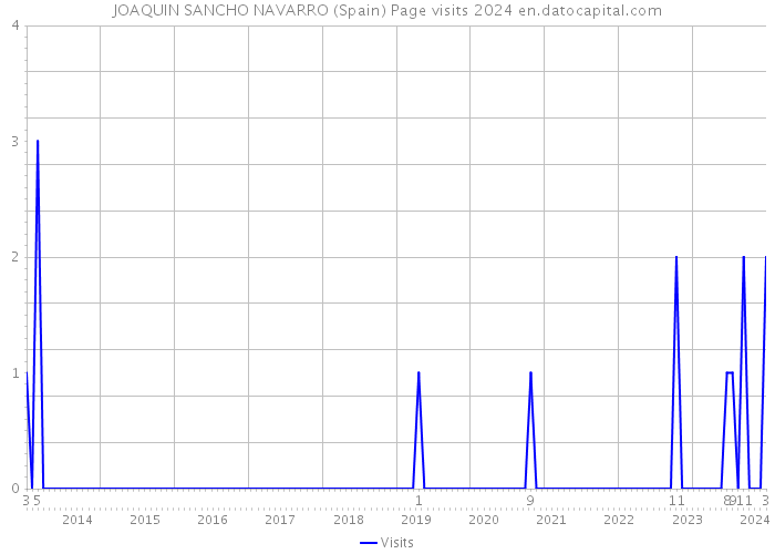 JOAQUIN SANCHO NAVARRO (Spain) Page visits 2024 