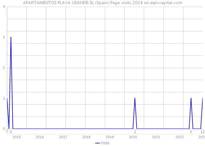 APARTAMENTOS PLAYA GRANDE SL (Spain) Page visits 2024 