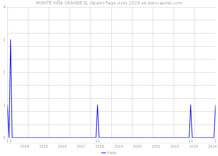 MONTE VIÑA GRANDE SL (Spain) Page visits 2024 