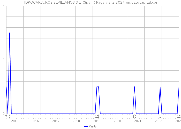 HIDROCARBUROS SEVILLANOS S.L. (Spain) Page visits 2024 