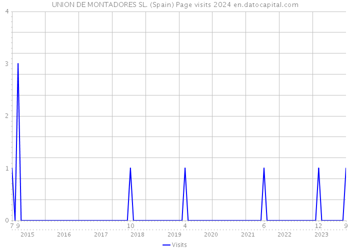 UNION DE MONTADORES SL. (Spain) Page visits 2024 