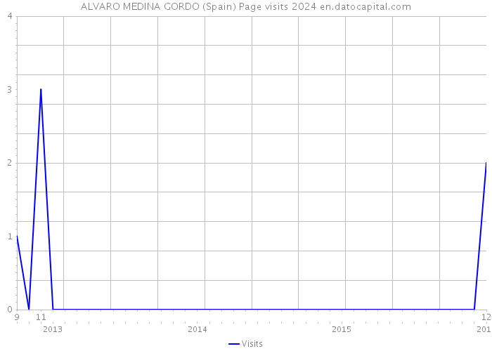 ALVARO MEDINA GORDO (Spain) Page visits 2024 
