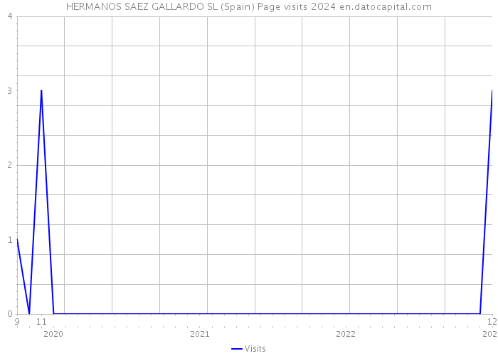 HERMANOS SAEZ GALLARDO SL (Spain) Page visits 2024 
