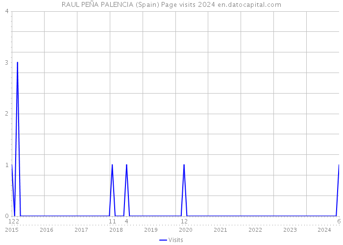 RAUL PEÑA PALENCIA (Spain) Page visits 2024 