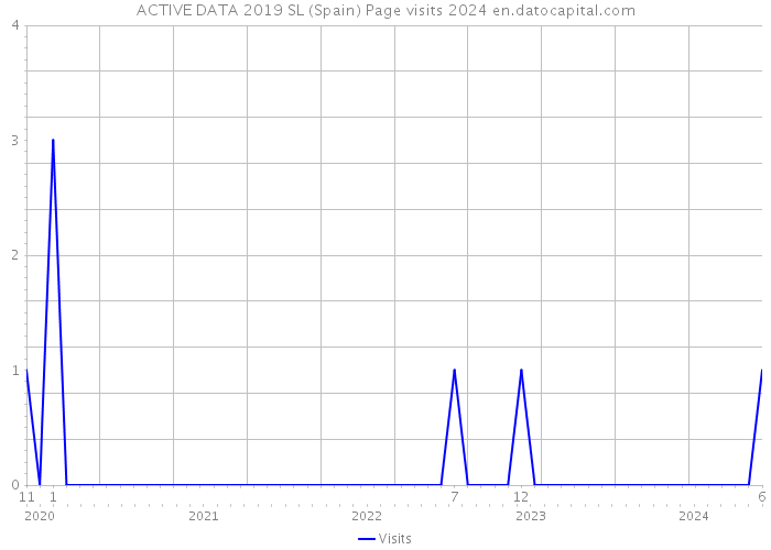 ACTIVE DATA 2019 SL (Spain) Page visits 2024 