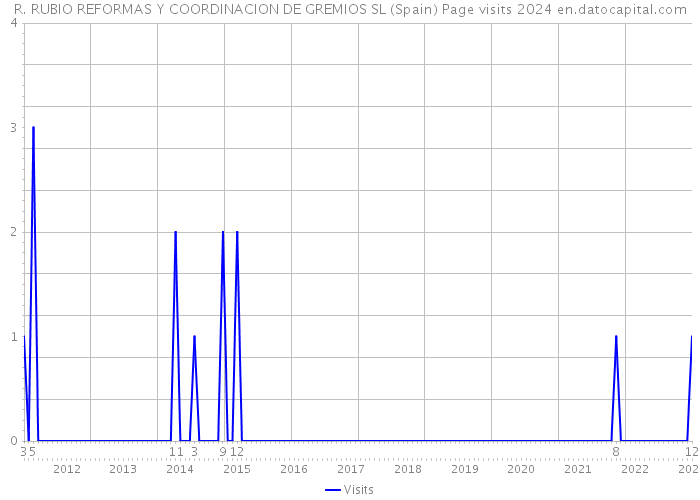 R. RUBIO REFORMAS Y COORDINACION DE GREMIOS SL (Spain) Page visits 2024 