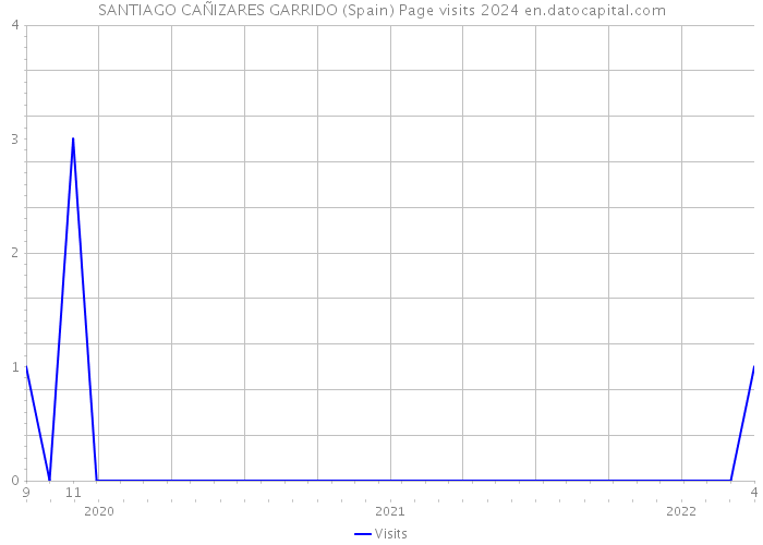 SANTIAGO CAÑIZARES GARRIDO (Spain) Page visits 2024 