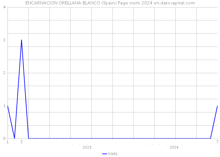 ENCARNACION ORELLANA BLANCO (Spain) Page visits 2024 