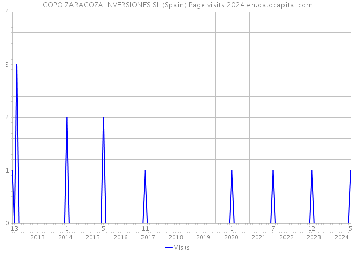 COPO ZARAGOZA INVERSIONES SL (Spain) Page visits 2024 