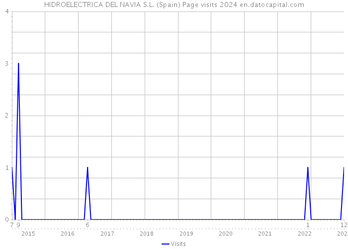 HIDROELECTRICA DEL NAVIA S.L. (Spain) Page visits 2024 