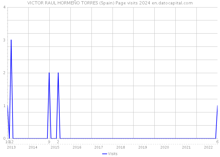 VICTOR RAUL HORMEÑO TORRES (Spain) Page visits 2024 