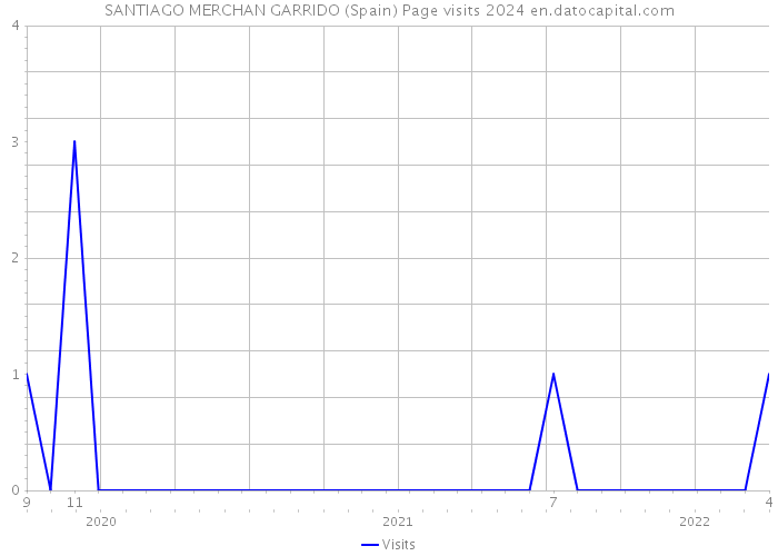 SANTIAGO MERCHAN GARRIDO (Spain) Page visits 2024 