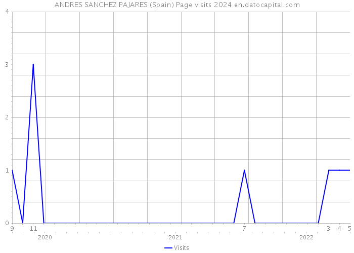 ANDRES SANCHEZ PAJARES (Spain) Page visits 2024 