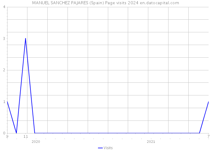 MANUEL SANCHEZ PAJARES (Spain) Page visits 2024 