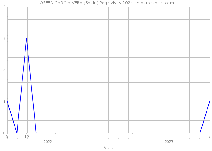 JOSEFA GARCIA VERA (Spain) Page visits 2024 