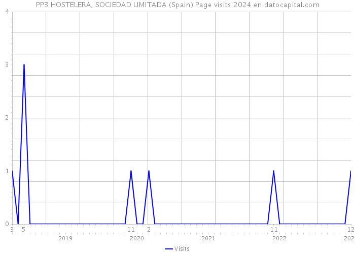 PP3 HOSTELERA, SOCIEDAD LIMITADA (Spain) Page visits 2024 