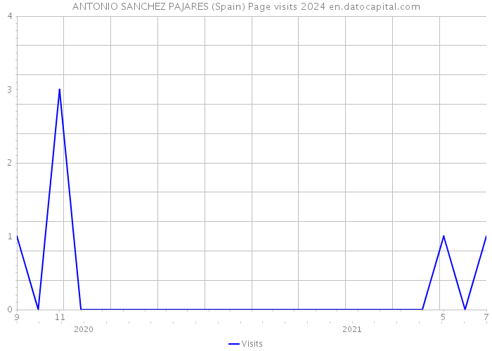 ANTONIO SANCHEZ PAJARES (Spain) Page visits 2024 