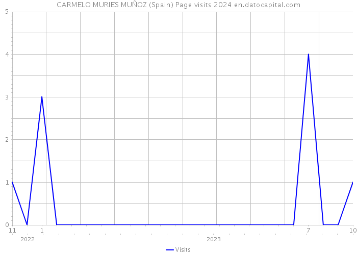 CARMELO MURIES MUÑOZ (Spain) Page visits 2024 