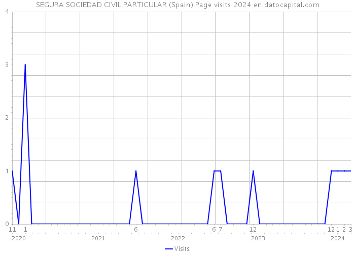 SEGURA SOCIEDAD CIVIL PARTICULAR (Spain) Page visits 2024 