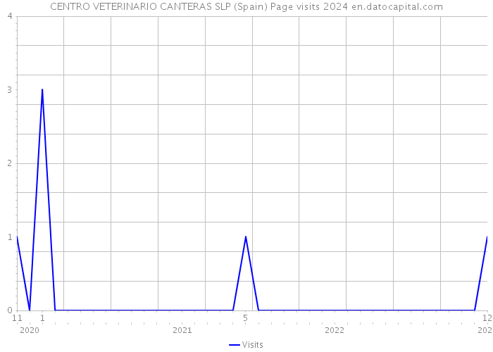 CENTRO VETERINARIO CANTERAS SLP (Spain) Page visits 2024 