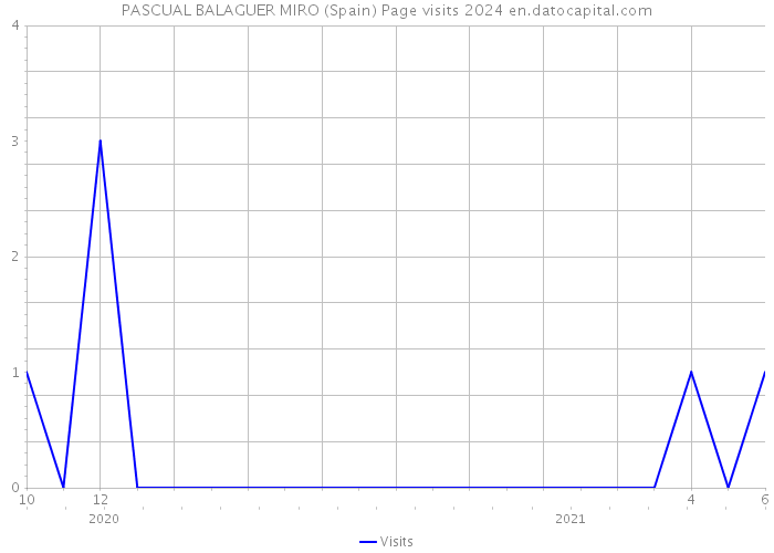PASCUAL BALAGUER MIRO (Spain) Page visits 2024 